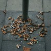Курильщики боятся не смерти, а потери привлекательности